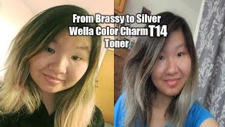 Brassy to Silver Hair Using Wella Color Charm T14 Toner [upl. by Assirec]