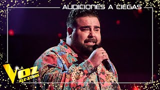 Linda Rodrigo canta quotWarriorquot  Audiciones a ciegas  La Voz All Stars 2023 [upl. by Haynor]