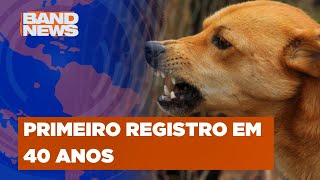 Caso de raiva em cachorro é investigado pela USP  BandNews TV [upl. by Aizahs]