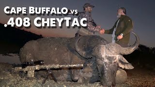 Cape Buffalo vs CheyTac 408  300 meter long range shooting [upl. by Skees]