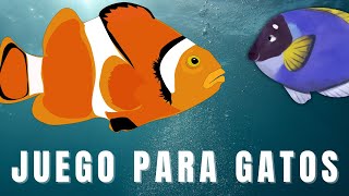 Peces para Gatos En Pantalla 🟢🟢 Jugar Y Relajarse 🟢🟢 Pescados Nadando [upl. by Ranna]