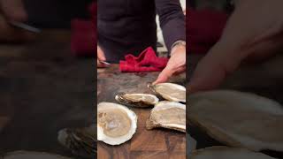 HOW TO MAKE Baked Oysters [upl. by Bahr151]