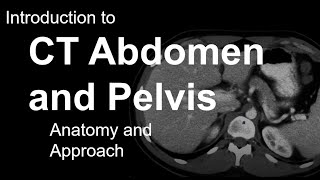 Introduction to CT Abdomen and Pelvis Anatomy and Approach [upl. by Amsa]