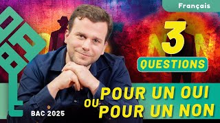 Pour un oui ou pour un non de Sarraute  Analyse en 3 questions pour le bac de français 2025 [upl. by Deaner]