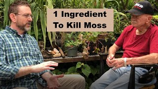 How to KILL Moss in your lawn for beginners [upl. by Ayekan]