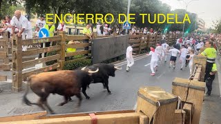 ENCIERRO DE TUDELA  DOMINGO 28 Julio 2024  CURVA HACIA CALLEJÓN DOS HERIDOS 🤕 ‼️ [upl. by Jennee879]