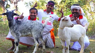 Mutton curry and Katla fish fry cooking for village people  villfood Kitchen recipes [upl. by Eeryt]