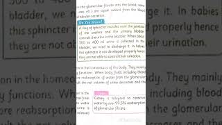 Why children not control their urine  Osmoregulation  Homeostasis [upl. by Aihsar]