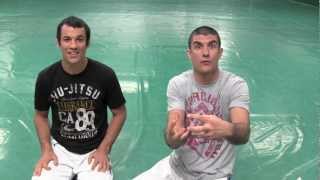 UFC 145 Jones vs Evans Gracie Breakdown [upl. by Emor]