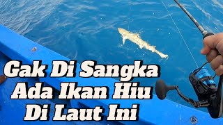 DetikDetik Penyelamatan Ikan Hiu  Baby Shark  Yang Tenggelam [upl. by Jaime707]