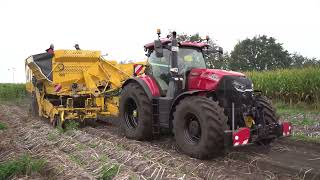 Case Puma 260 Ropa Keiler 2 Aardappeloogst Potato harvest [upl. by Aicarg432]