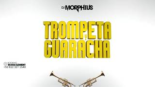 TROMPETA Y GUARACHA 🎺Aleteo Mix💥 Guaracha Zapateo Tribal Circuit Dj Morphius vs Muzik Junkies [upl. by Donall]