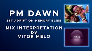 PM DAWN  SET ADRIFT ON MEMORY BLISS MIX INTERPRETATION [upl. by Dnomhcir]