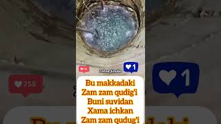 Zam zam qudigi makkah video viralvideo shortvideo instagram [upl. by Renato785]