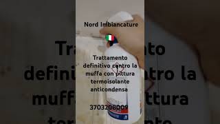 Nord Imbiancature  Imbianchino Como 🇮🇹 Trattamento antimuffa trattamento infiltrazioni like home [upl. by Ademordna]