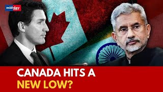 IndiaCanada Relations Canada blocks Australia Today after it telecasts EAM Jaishankars views [upl. by Olenolin]