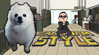 PSY  GANGNAM STYLE em CACHORRÊS  NOSTALGIA [upl. by Damales]