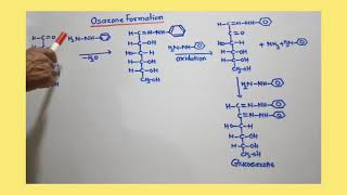 Osazone of DGlucose and DFructose [upl. by Crelin847]