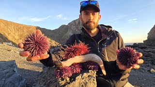 Eels and Uni Sea Urchin  Best Yield Ive Ever Seen [upl. by Elocon]