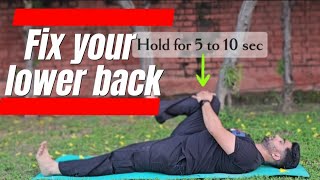 lower back pain exercises [upl. by Meerek]