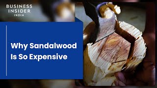 Why Sandalwood Is So Expensive  So Expensive [upl. by Drooff235]