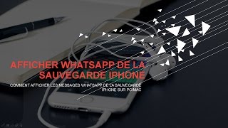 Comment afficher les messages WhatsApp de la sauvegarde iPhone sur PC  Mac [upl. by Milah486]