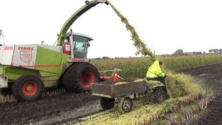 Maïs 2012  Quad bestuurder krijgt de volle laag maïs  Quad driver gets the full dose of corn [upl. by Sibilla]