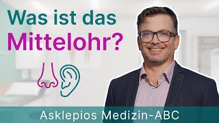 Was ist das Mittelohr  Medizin ABC  Asklepios [upl. by Nifares577]