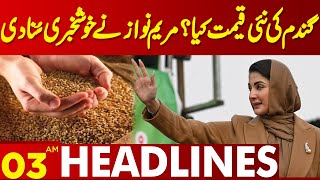 Wheat New Prices  Cm Punjab Gave Good News  Lahore News Headlines 03 AM  03 April 2024 [upl. by Yarb]