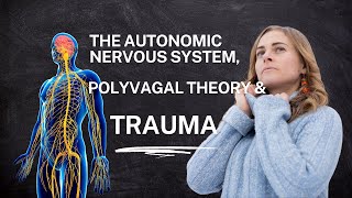 Understanding the Autonomic Nervous System amp Trauma Polyvagal Theory Explained [upl. by Cristi]