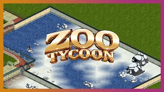 🐯 Pengwings  Lets Play Zoo Tycoon [upl. by Averell]