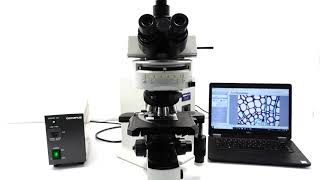 Olympus BX51 Microscope BOSTONIND  GLMC [upl. by Nroht678]