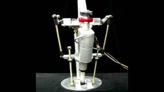 Large Animatronic Robotic Neck Mechanism Animatronic [upl. by Thomasa]