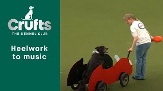 Heelwork To Music  Freestyle International Competition Part 2  Crufts 2023 [upl. by Egiedan]