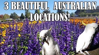 3 Must See Places  Dandenong Ranges Australia [upl. by Airotkciv]