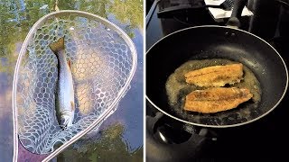 Brook Trout CATCH and COOK [upl. by Janie]