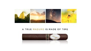 THE DAVIDOFF MADURO LIMITED RELEASE  Maduro cigar [upl. by Enohs]