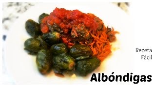 Como preparar albondigas receta tradicional italiana [upl. by Giamo438]