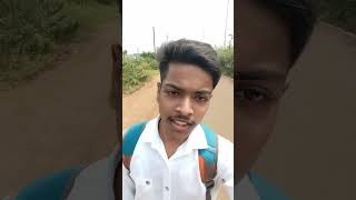 ajadi ke naam pe mout ke mu Mai dhakel Raha hai 😡  birds birdlovers buggies vlog scamexplore [upl. by Coray]