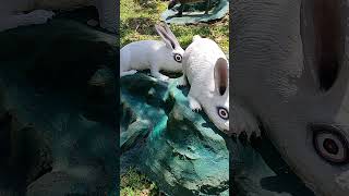 Haw par villa rabbit statueShortsshortsvideo [upl. by Nemrac772]