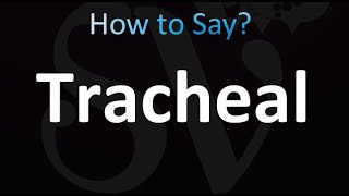 How to Pronounce Tracheal correctly [upl. by Goldarina505]