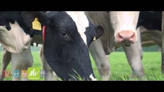 Heemskerk Dairy Bedrijfsfilm [upl. by Opportuna]