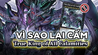 LỊCH SỬ YUGIOH  True King of All Calamities vị VUA TAI HỌA  YuGiOh Việt Nam [upl. by Madian]