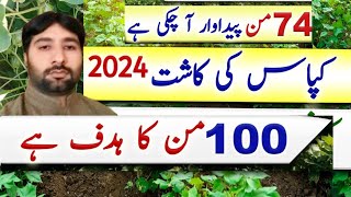 Best Cotton Production Technology in Pakistan7080 MondsHafiz Nadeem ProTips [upl. by Mathis14]