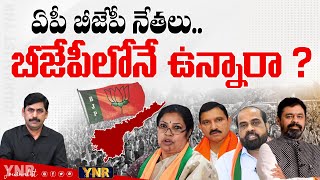 ఏపీ బీజేపీ నేతలుబీజేపీలోనే ఉన్నారా Why Are AP BJP Leaders Silent on the Adani CaseJournalist YNR [upl. by Lissi639]