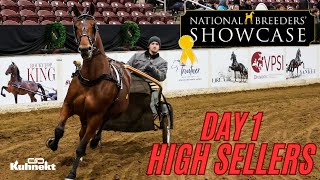 Highest Seller from Day 1 at the 2024 National Breeders Showcase Auction [upl. by Tali]