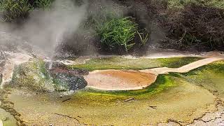 Waimangu Volcanic Valley bij Rotorua NZ een kleine geiser bij de Echo Crater 12 december 2023 [upl. by Artied]