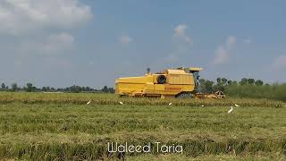 New Holland 8080 Performance [upl. by Watkins468]