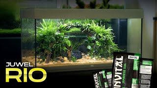 Setting up a Juwel Rio aquarium with INVITAL Japanese soil [upl. by Coltun]