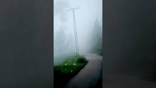 Beautiful places in the World shortsvideo fog murree [upl. by Eihcir]